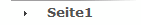 Seite1